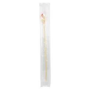 Sonda Foley N16 2 Vias Balon If