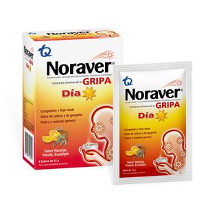 Noraver Gripa Bebida Dia Ple X 6