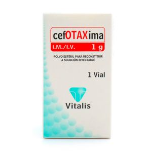 Cefotaxima 1 G 1 Ampollas Vt