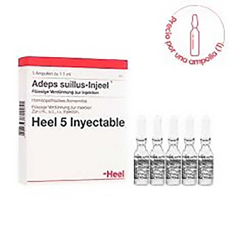 Adeps-Suillus-Injeel-5-Amp.-1.1-Ml-Hc