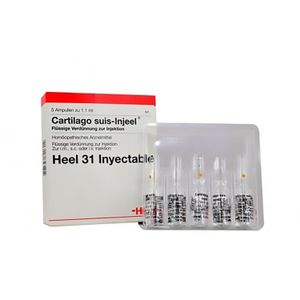 Cartilago Suis Injeel X 5Amp.H