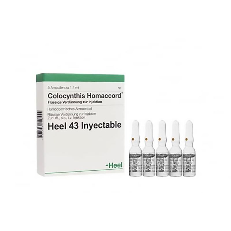 Colocynthis-Homaccord-Ampollas-X-5Ud-Hc