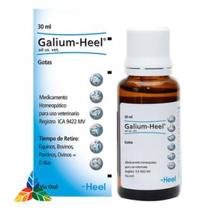 Galium-Heel N X 5Amp. Hc