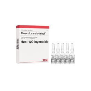 Musculus Suis Injeel X 5Amp Hc