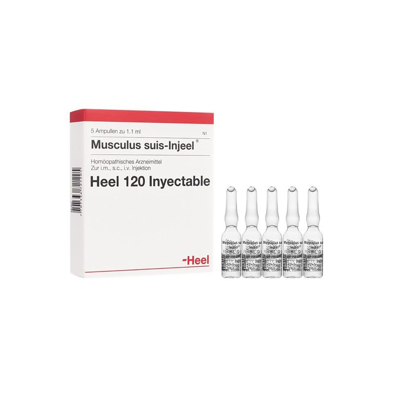 Musculus-Suis-Injeel-X-5Amp-Hc