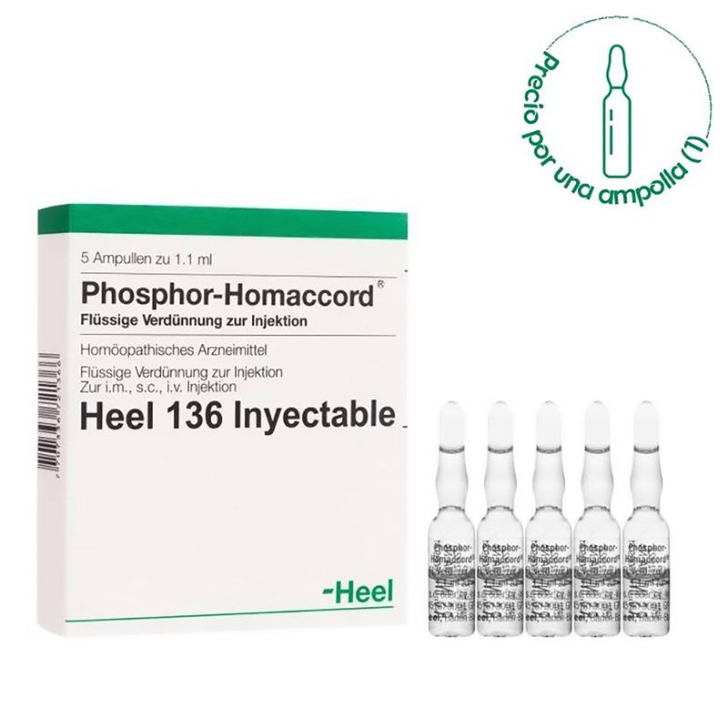 Phosphor-Homaccord-X-5-Amp