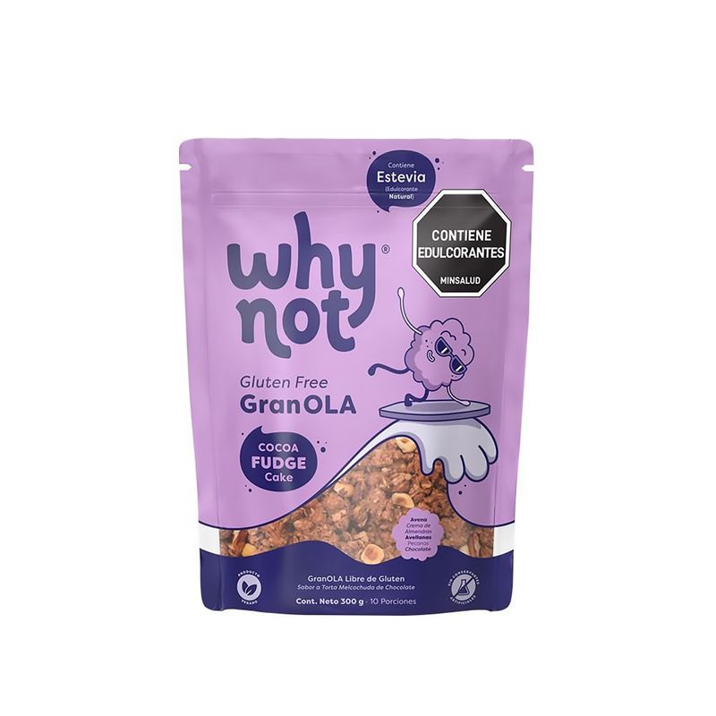 Why-Not-Gluten-Free-Granola-Sabor-A-Coca-Fudge-Cake-X-300-Gr-
