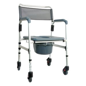 Silla De Ruedas Sanitaria En Aluminio Anodizado Tt