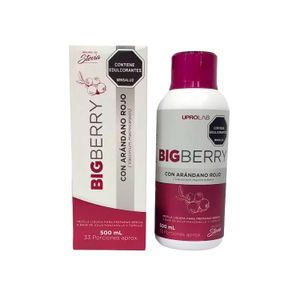 Bigberry X 500 ML
